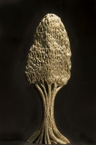 120.
