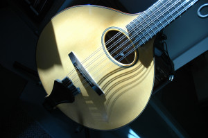 Wiens Cittern when new.