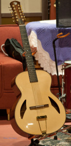 The 12-String guitar