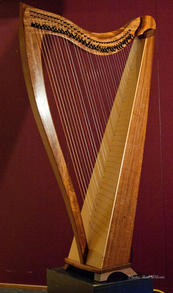422. Dusty Strings Harp
